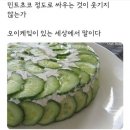 민트PC방 이미지