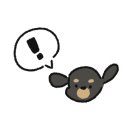 초이다방 이미지