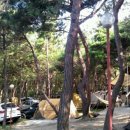 명성캠핑장 이미지