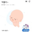 마미왕 짜글이