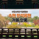 수원| 가을 단풍 나들이 저수지 둘레길 만석공원 다녀온 후기 : 주차, 산책코스, 포토스팟