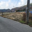 대술농장 이미지