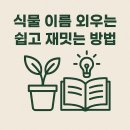 식물 이름 외우기, 정말 불가능한 일일까? 누구나 쉽게 할 수 있는 기억법