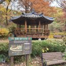 경기둘레길 김포58코스 Daum카페