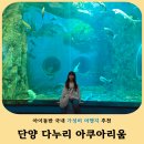 다누리 | 단양 다누리 아쿠아리움 할인 꿀팁 포함 방문후기 (아이동반 추천)