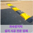 수내역 보행자도로 | 아스팔트도로 과속방지턱 설치 전문 업체 시공 방법