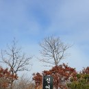 3월 25일(목) 김해 돛대산 신어산(631m) 번개산행 공지 이미지