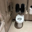 도그시티 이미지