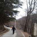 방아다리 이미지