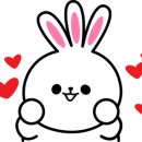 신리면옥강릉점 이미지