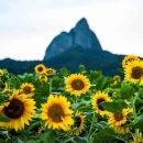 진안군 농업기술센터 이미지