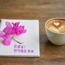 은빛세상 이미지