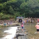 동산계곡야영장 이미지