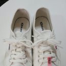 하얀기쁨 이미지