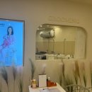 강아지 미용실 이미지