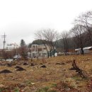 오동골1 이미지