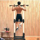 디핑 | 멜킨 치닝디핑 젠틀마스터 가정용 철봉 홈트 후기