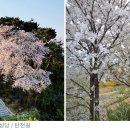 황새울5길 이미지