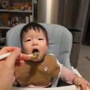 D-9 | D+282 똑띠 일상 9개월 후기 이유식 3끼 스케줄