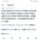 카레가 당뇨위험 높은 음식이래 이미지