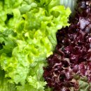 매천한의원 이미지