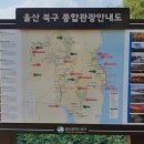 억세 군락지 이미지