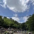 과천역 7번 출구(내점길) | [과천 돌담집] 서울 근교 계곡에서 즐기는 복날 백숙 맛집 | 예약 주차 내돈내산 솔직후기
