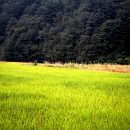 엄소리마을회관 이미지