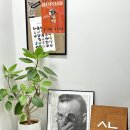 시늘 이미지