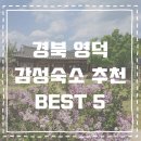 구계별서민박 | 경북 영덕 분위기 좋은 오션뷰와 한옥 감성숙소 BEST 5+링크･ﾟ✧