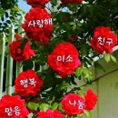 명심 이미지
