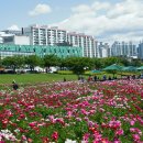 태화강국가정원 이미지