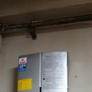 신일초교 이미지