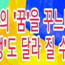 용인대 흑룡합기도 이미지