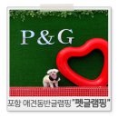홍원1리사무실 주변 | 포항애견동반글램핑 펫글램핑 솔직후기