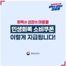 민생회복소비쿠폰의 여러이름 모음 이미지