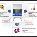 줄기세포 치료, 어렵지 않습니다. 이미지