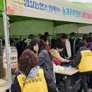 임실 농협 하나로마트 이미지