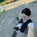 통영수영장 | [통영 애견동반 펜션] 통영 글램독 | 통영 애견동반 글램독 | 통영 애견동반 수영장 |내돈내산 | 솔직후기