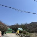 도장농원