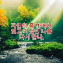 초록바람 이미지