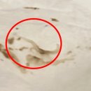 선닥터동물병원 이미지