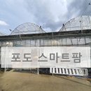 (주)비에스팜 이미지
