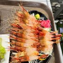 갈릴리 수산물 도매 이미지