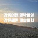 강릉 여행 일박이일 가볼만한곳 강문해변 머슬비치 강문교 후기
