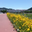 옥곡동 강변도로 이미지