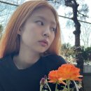 오렌지헤어 - 익산시 | 오렌지헤어