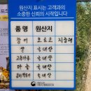 지중해자연산민물장어 | 부천역 장어 맛집 장어구이 맛있는 심곡본동 맛집 &#39; 지중해자연산민물장어 &#39;