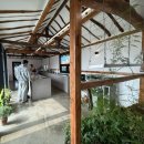 광미 | [강화]애견동반카페 광미산/한옥카페