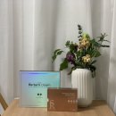 더마리턴5